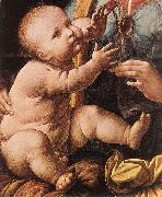 Leonardo Da Vinci The Madonna of the Carnation  g oil painting